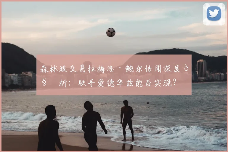 森林狼交易拉梅洛·鲍尔传闻深度解析：联手爱德华兹能否实现？